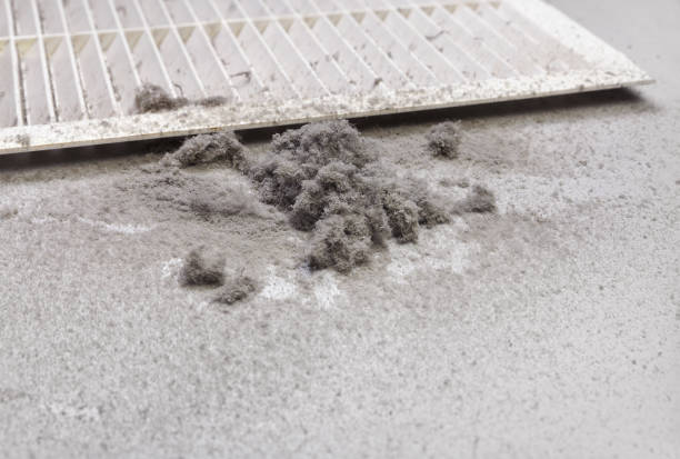 Best HVAC Air Duct Cleaning  in Atwood, IL
