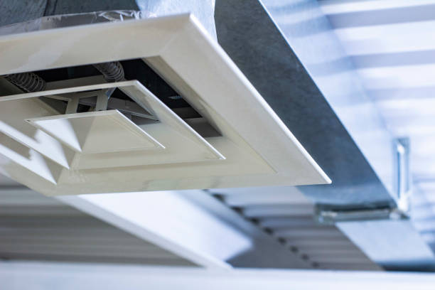 Best Home Air Vent Cleaning  in Atwood, IL