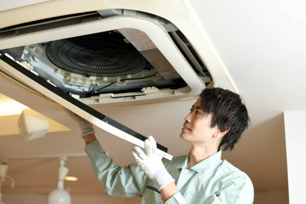 Best Duct Cleaning for Homes  in Atwood, IL